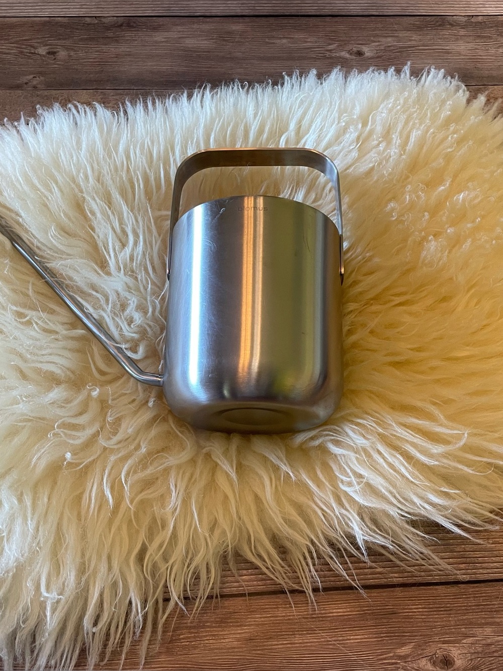Blomus PLANTO 1L Watering Can ~ matte stainless steel